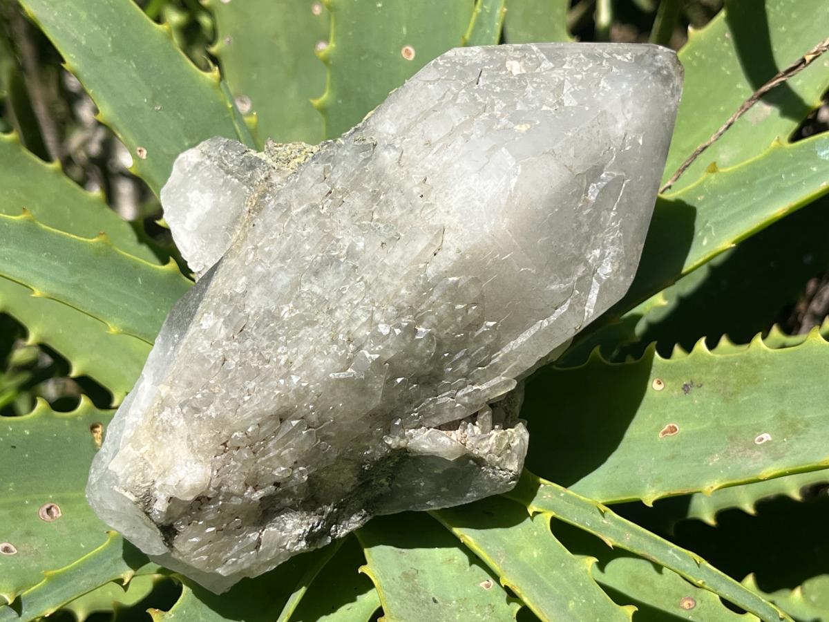 Natural Green Epidote Cascading Quartz Crystal x 1 From Messina Mine, Musina, South Africa