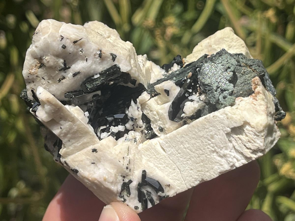 Natural Black Aegirine Crystals in White Orthoclase x 1 From Zomba Malosa, Malawi