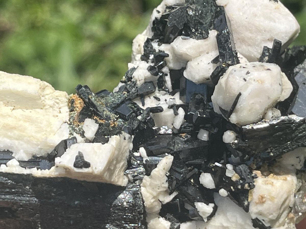 Natural Black Aegirine Crystals in White Orthoclase x 1 From Zomba Malosa, Malawi