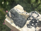 Natural Black Aegirine Crystals in White Orthoclase x 1 From Zomba Malosa, Malawi