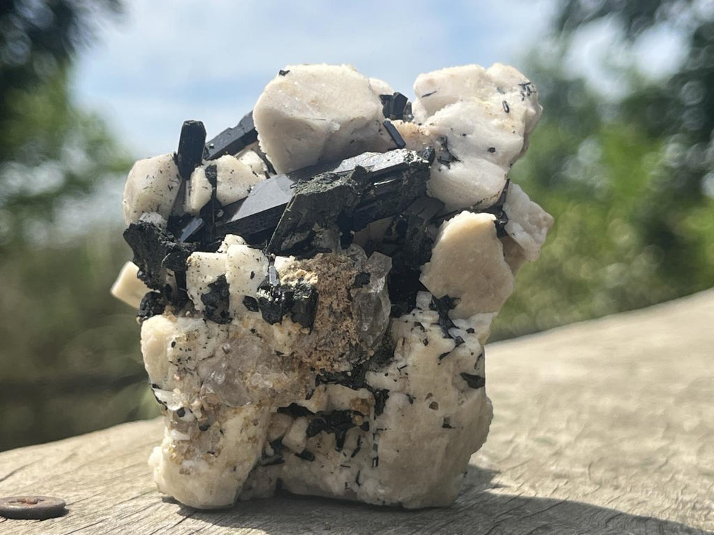 Natural Black Aegirine Crystals in White Orthoclase x 1 From Zomba Malosa, Malawi