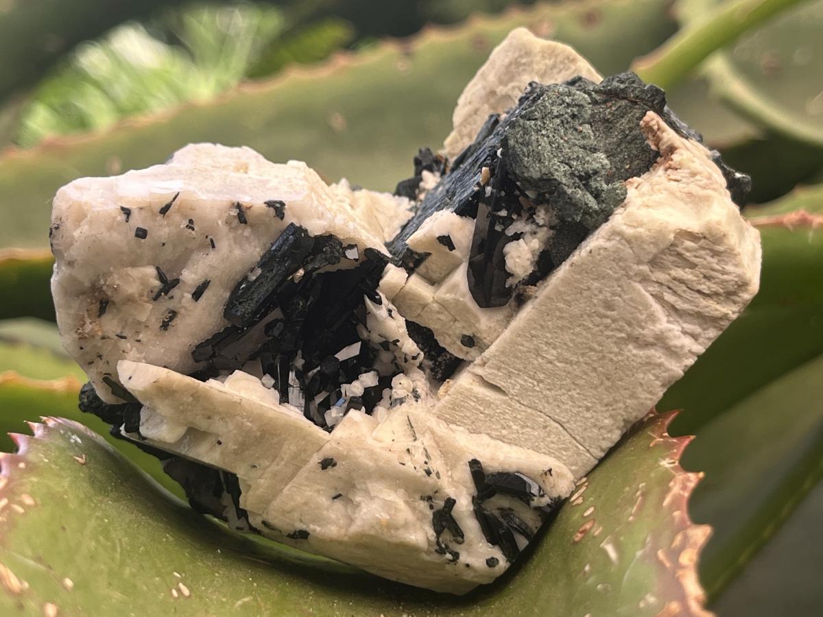 Natural Black Aegirine Crystals in White Orthoclase x 1 From Zomba Malosa, Malawi