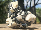 Natural Black Aegirine Crystals in White Orthoclase x 1 From Zomba Malosa, Malawi
