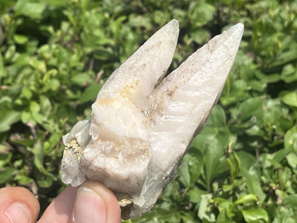Natural Fluorescent Twin Spearhead Calcite Group x 1 From Albert's Mountain, Lesotho