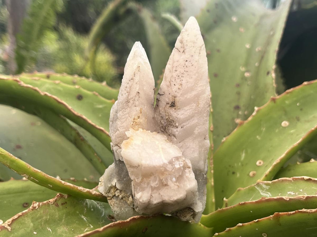 Natural Fluorescent Twin Spearhead Calcite Group x 1 From Albert's Mountain, Lesotho