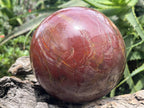 Polished XL Red Podocarpus podocarpus Petrified Wood Sphere x 1 From Mahajanga, Madagascar