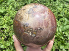 Polished XL Red Podocarpus podocarpus Petrified Wood Sphere x 1 From Mahajanga, Madagascar