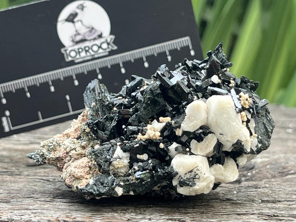 Natural Aegirine Crystals on White Orthoclase with Zircon and Arfvedsonite Crystals x 1 From Zomba, Malawi