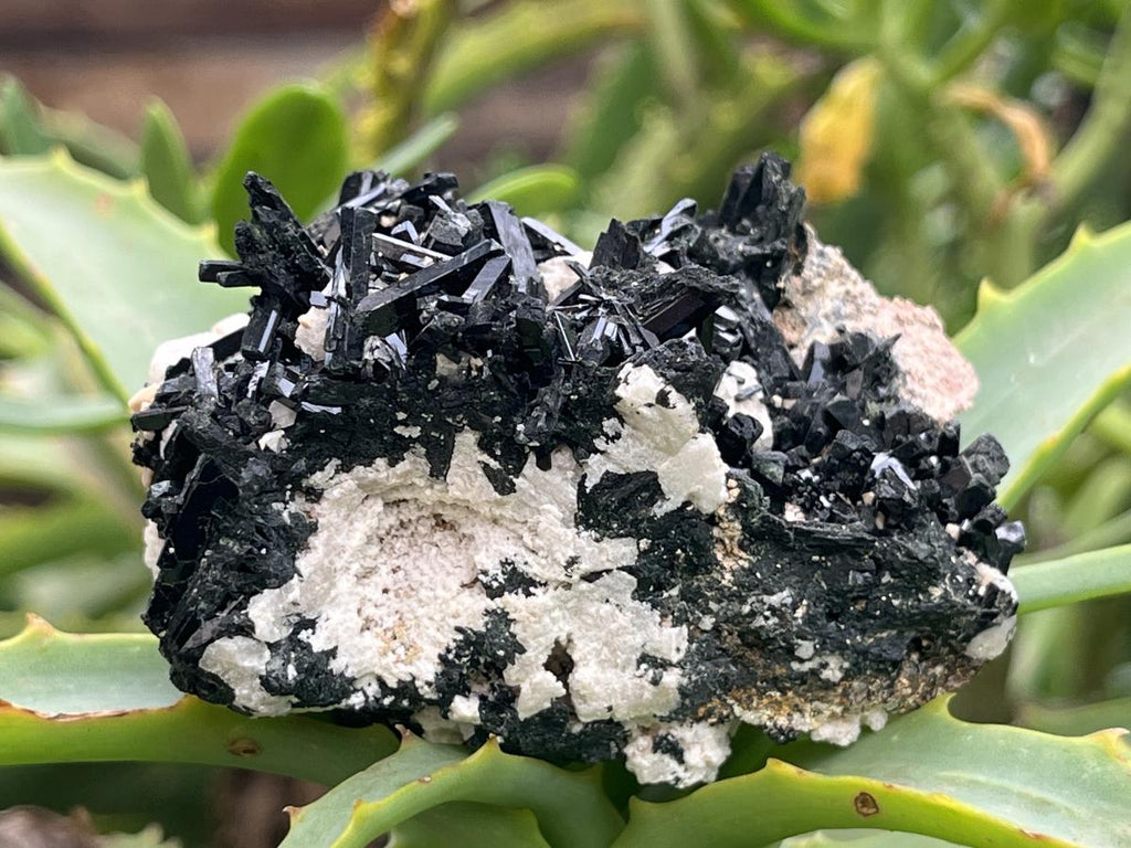 Natural Aegirine Crystals on White Orthoclase with Zircon and Arfvedsonite Crystals x 1 From Zomba, Malawi