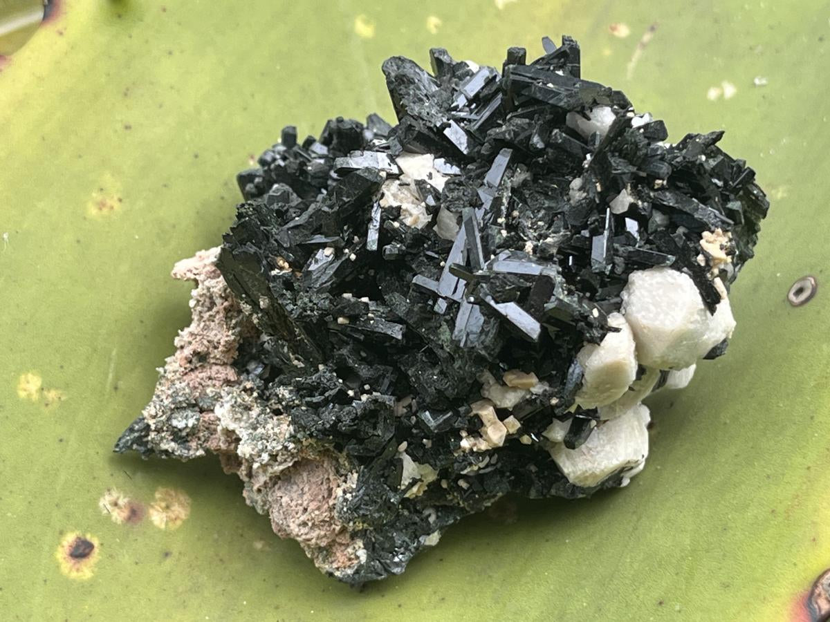 Natural Aegirine Crystals on White Orthoclase with Zircon and Arfvedsonite Crystals x 1 From Zomba, Malawi