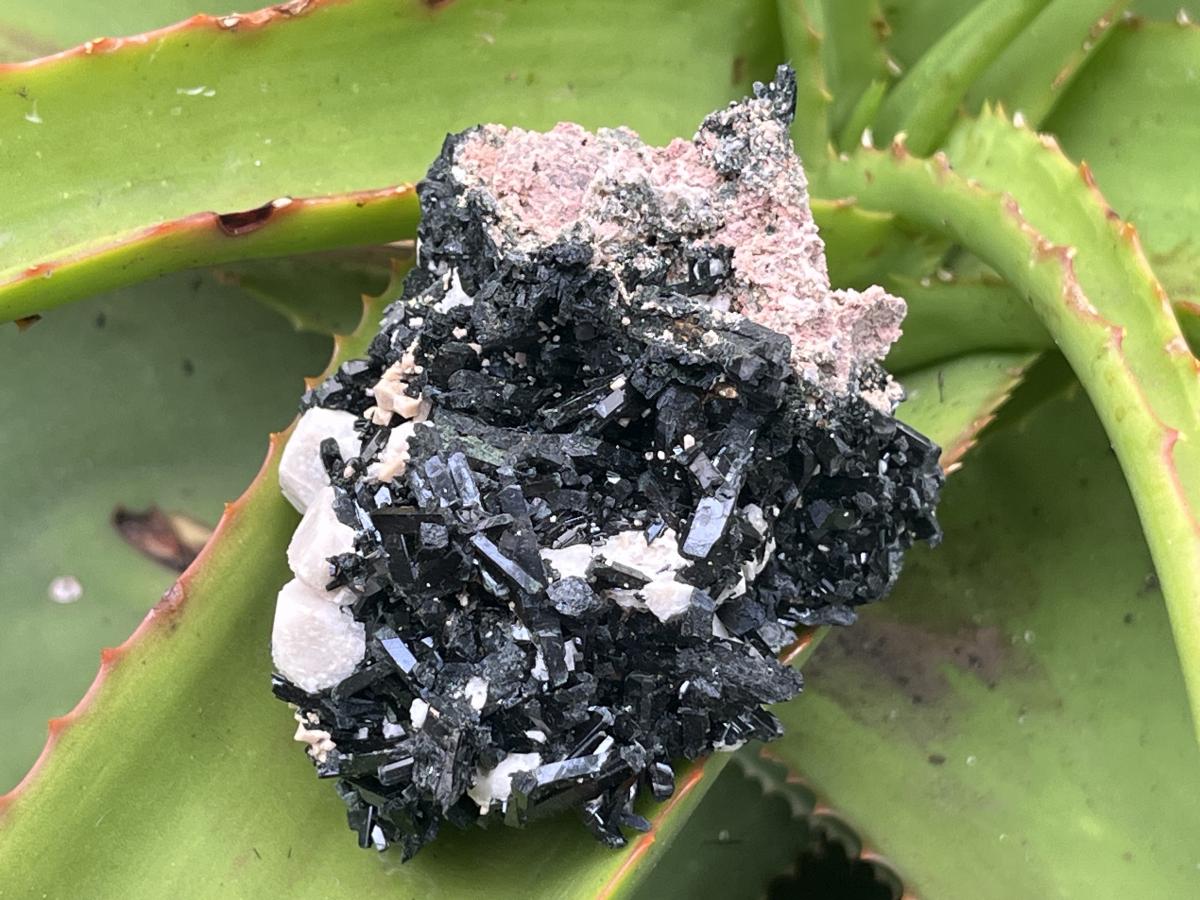 Natural Aegirine Crystals on White Orthoclase with Zircon and Arfvedsonite Crystals x 1 From Zomba, Malawi