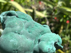 Natural Solid Botryoidal Crystalline Malachite Specimen x 1 From Kolwezi, Congo