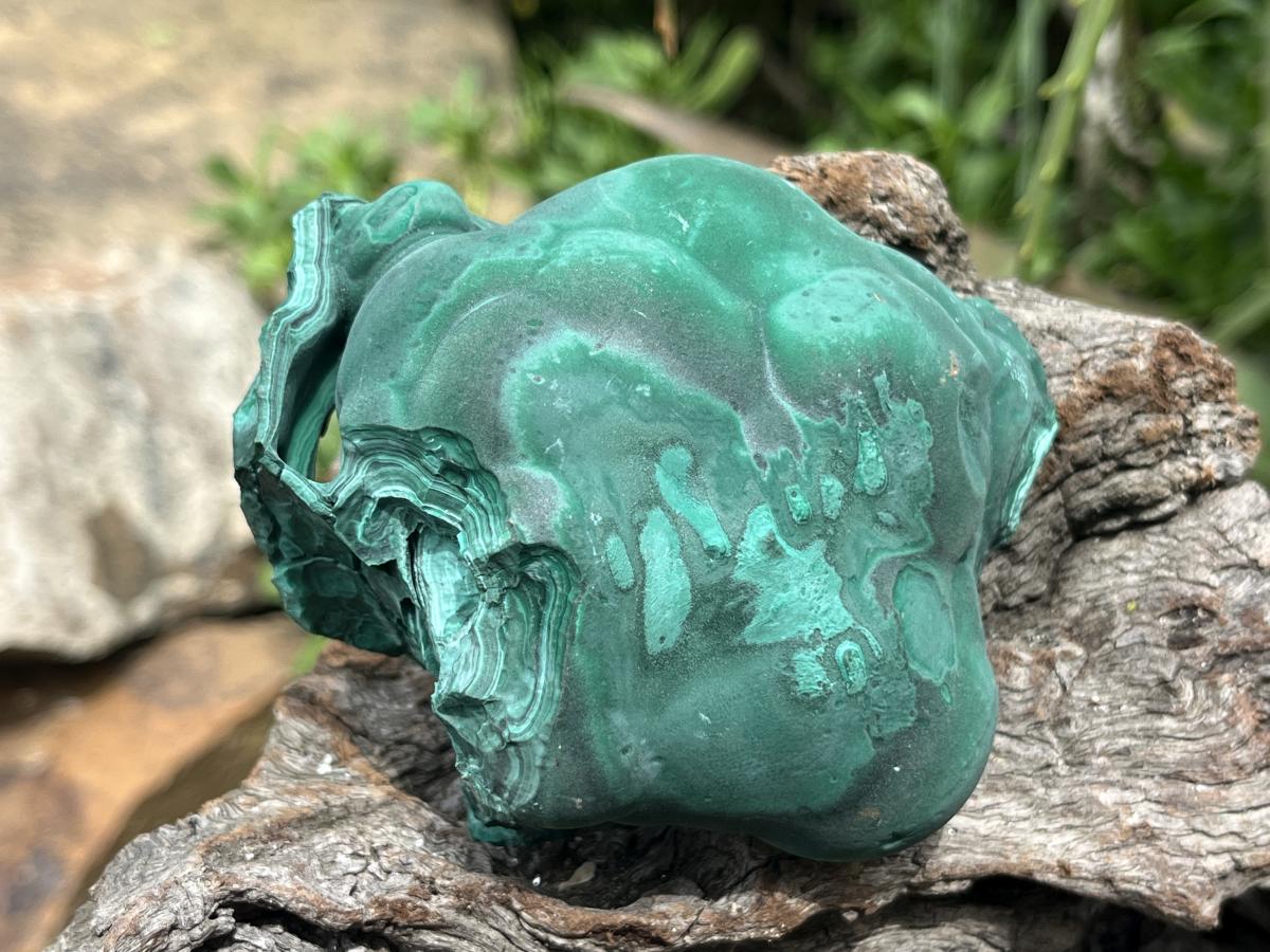 Natural Solid Botryoidal Crystalline Malachite Specimen x 1 From Kolwezi, Congo