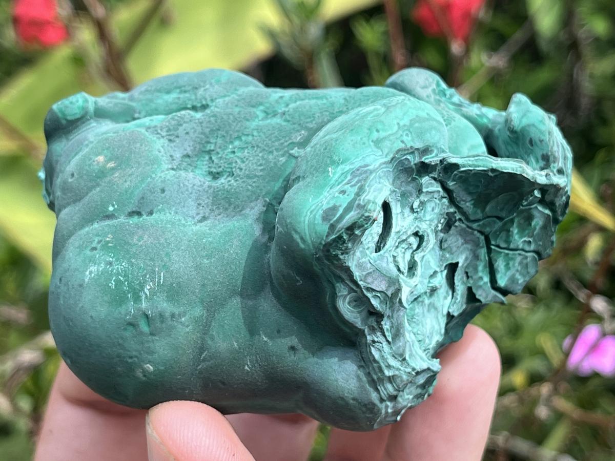 Natural Solid Botryoidal Crystalline Malachite Specimen x 1 From Kolwezi, Congo