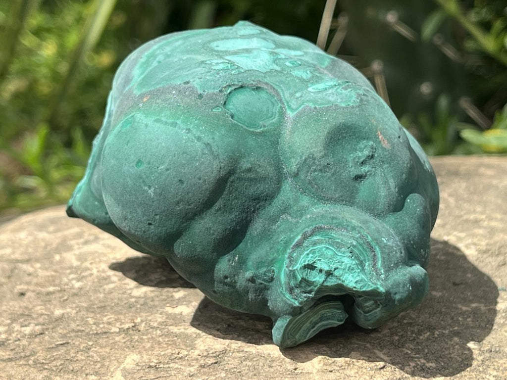 Natural Solid Botryoidal Crystalline Malachite Specimen x 1 From Kolwezi, Congo