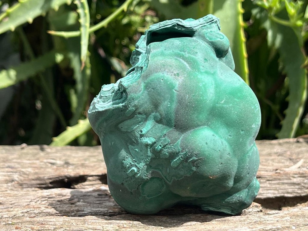Natural Solid Botryoidal Crystalline Malachite Specimen x 1 From Kolwezi, Congo