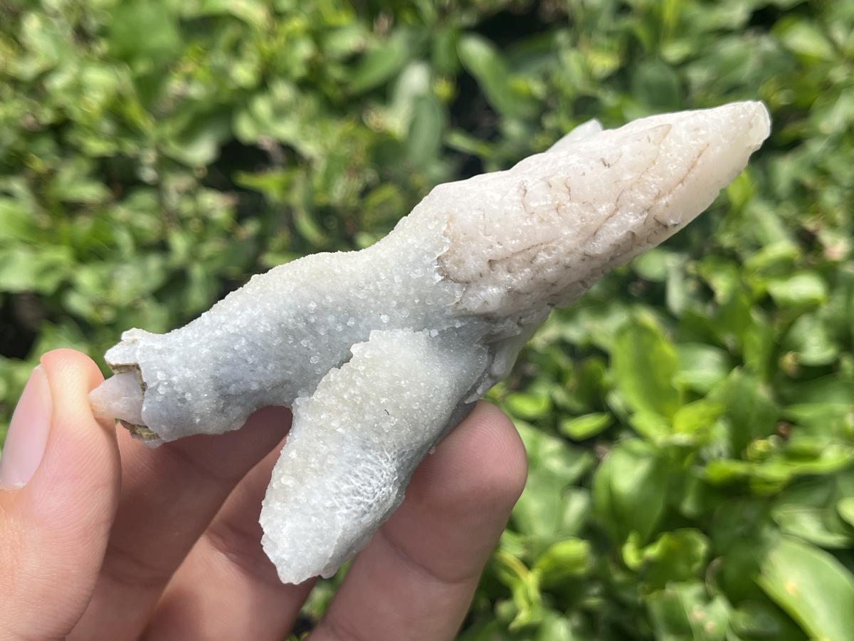 Natural Twin Spearhead Calcite Crossed Cluster x 1 From Albert's Mountain, Lesotho