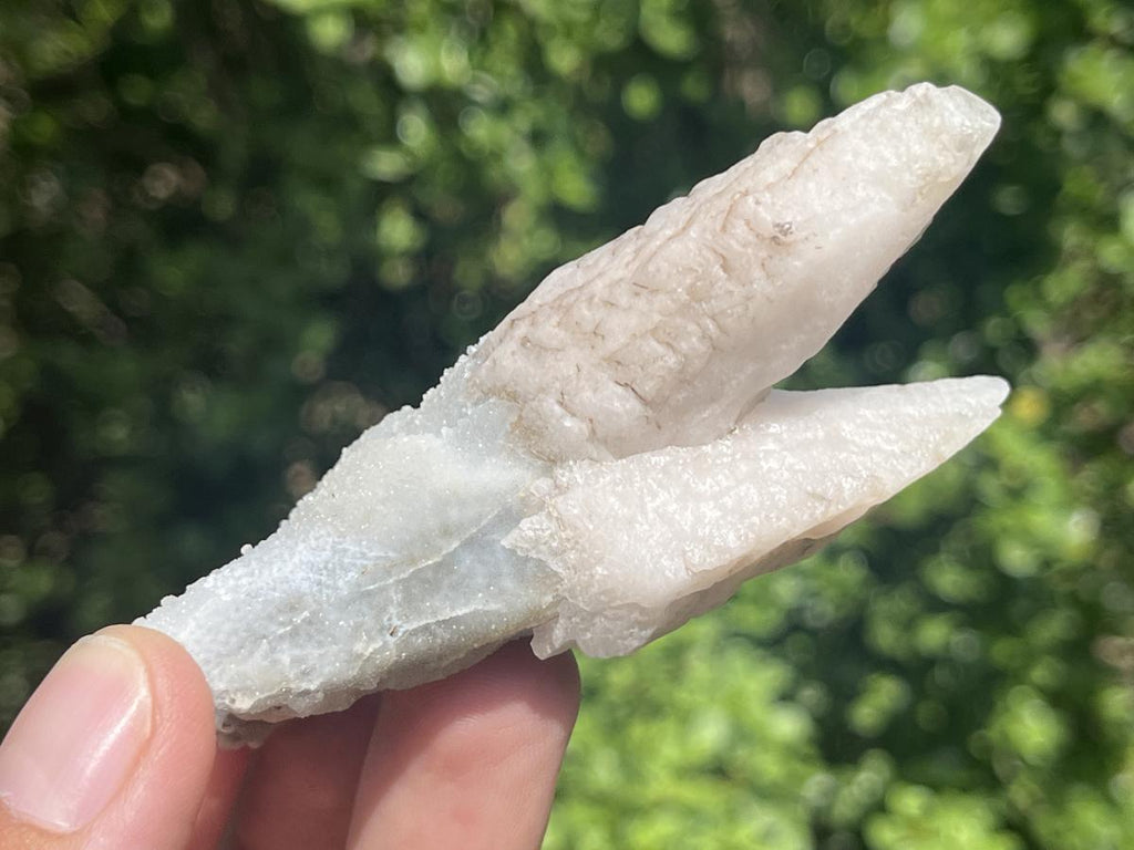 Natural Twin Spearhead Calcite Crossed Cluster x 1 From Albert's Mountain, Lesotho
