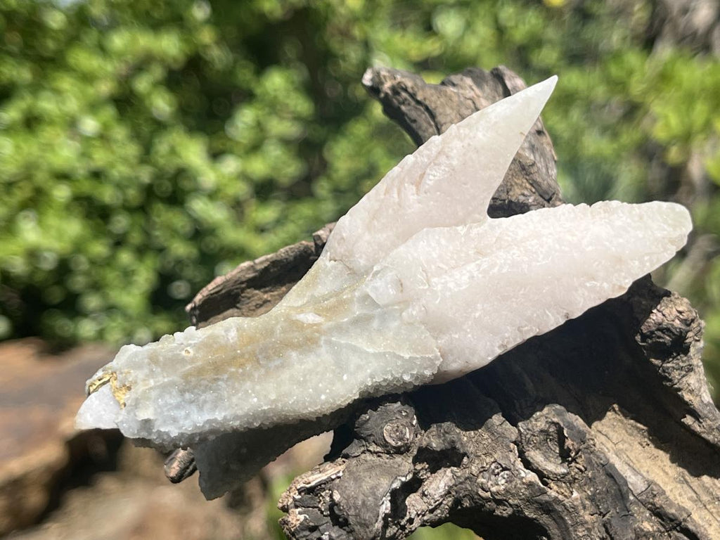 Natural Twin Spearhead Calcite Crossed Cluster x 1 From Albert's Mountain, Lesotho