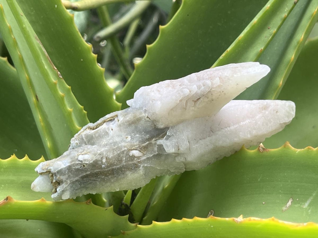 Natural Twin Spearhead Calcite Crossed Cluster x 1 From Albert's Mountain, Lesotho