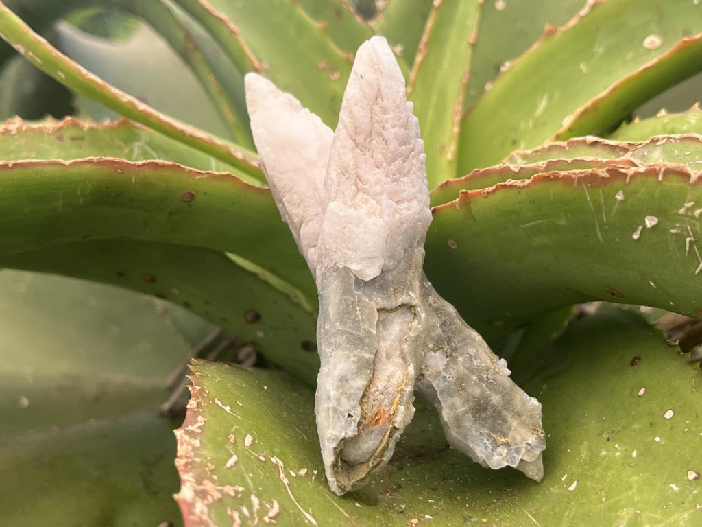 Natural Twin Spearhead Calcite Crossed Cluster x 1 From Albert's Mountain, Lesotho