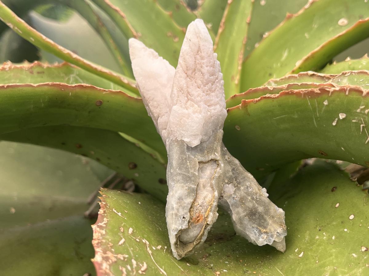Natural Twin Spearhead Calcite Crossed Cluster x 1 From Albert's Mountain, Lesotho