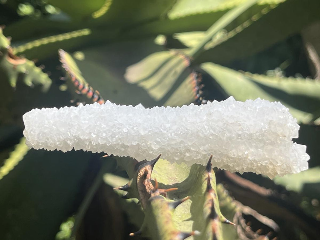 Natural Lesotho Twin Snow Finger Crystal x 1 From Albert's Mountain, Lesotho