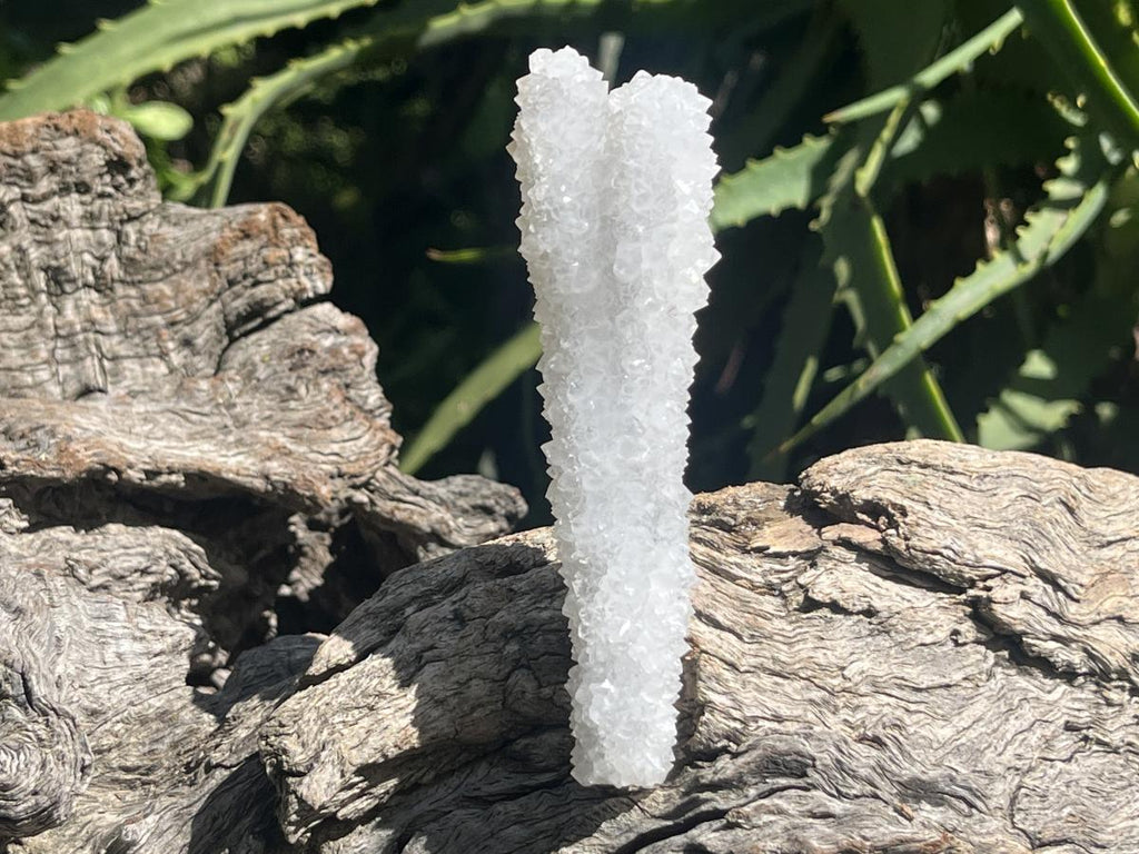 Natural Lesotho Twin Snow Finger Crystal x 1 From Albert's Mountain, Lesotho