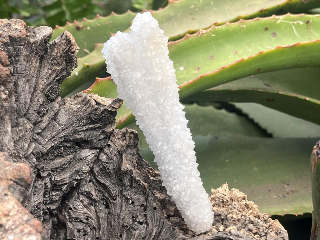 Natural Lesotho Twin Snow Finger Crystal x 1 From Albert's Mountain, Lesotho