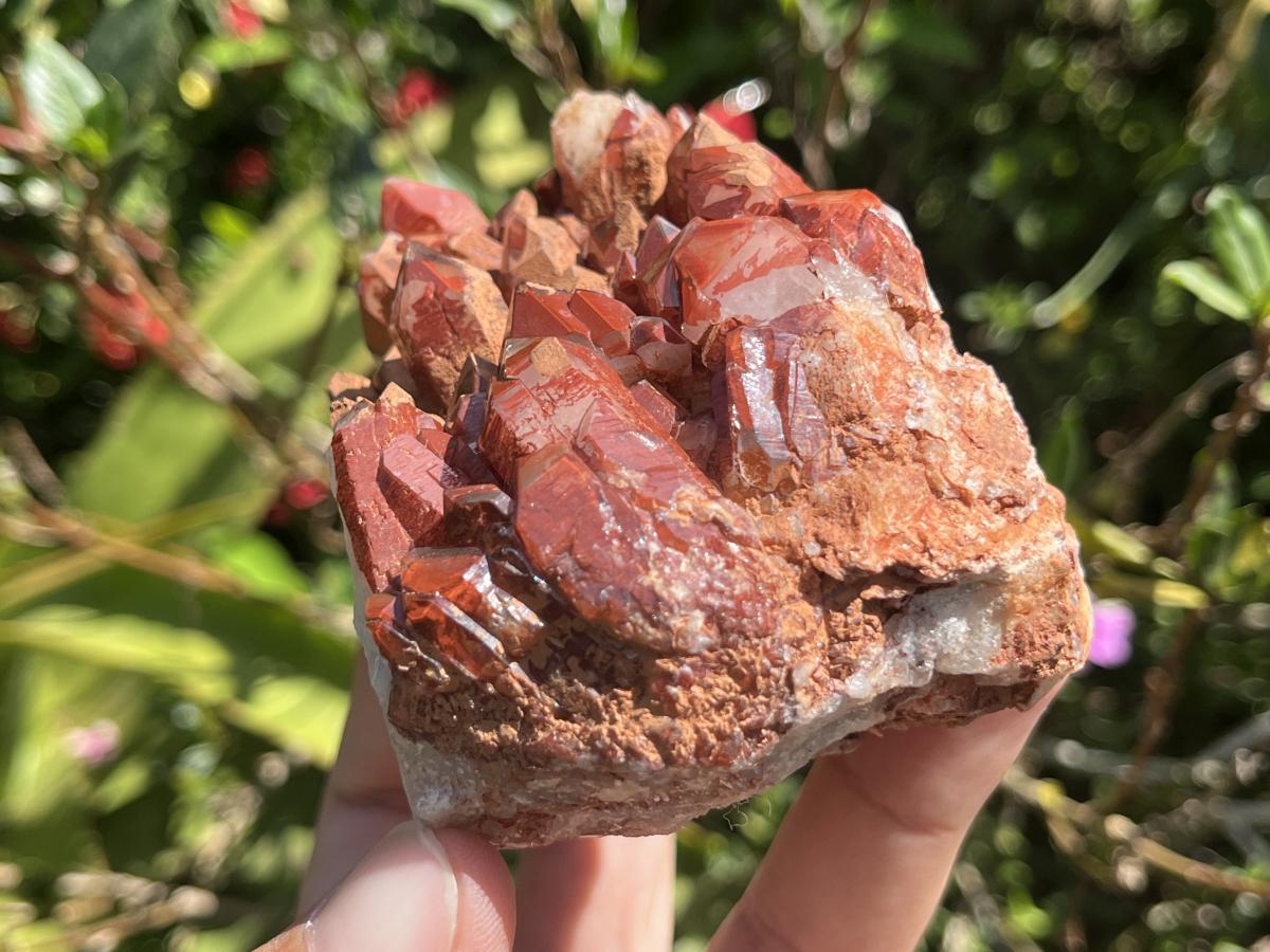 Natural Red Hematite Quartz Cluster x 1 From Orange River, South Africa