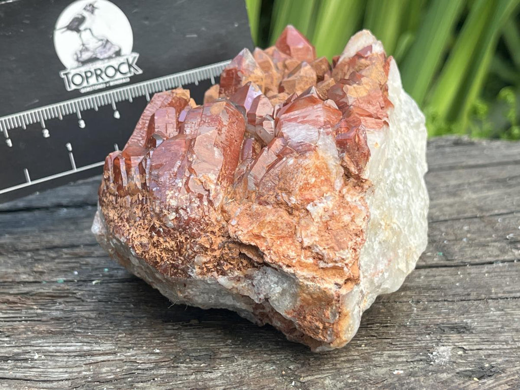 Natural Red Hematite Quartz Cluster x 1 From Orange River, South Africa