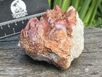 Natural Red Hematite Quartz Cluster x 1 From Orange River, South Africa