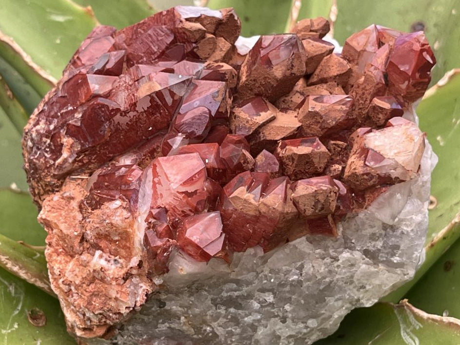 Natural Red Hematite Quartz Cluster x 1 From Orange River, South Africa