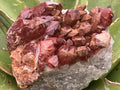 Natural Red Hematite Quartz Cluster x 1 From Orange River, South Africa