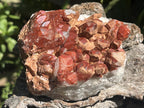 Natural Red Hematite Quartz Cluster x 1 From Orange River, South Africa