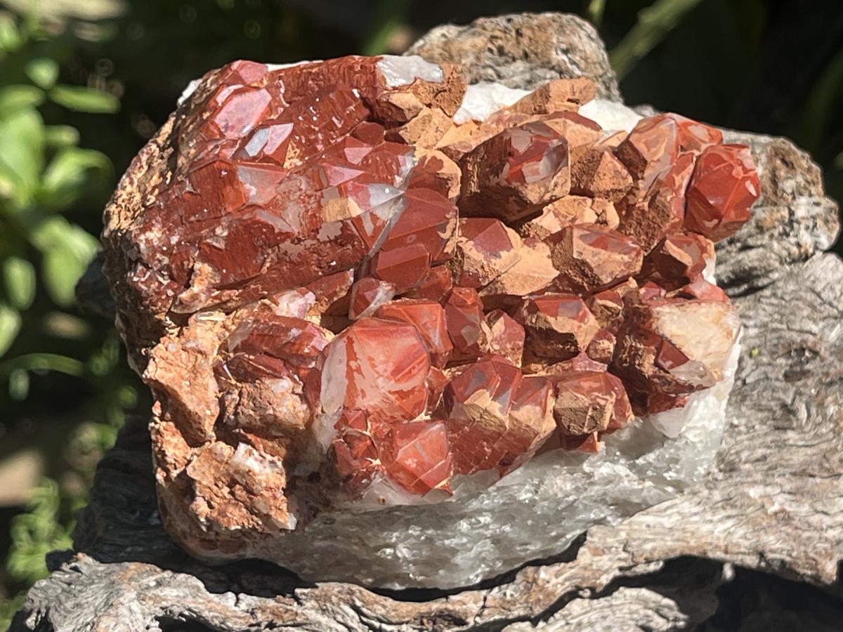 Natural Red Hematite Quartz Cluster x 1 From Orange River, South Africa
