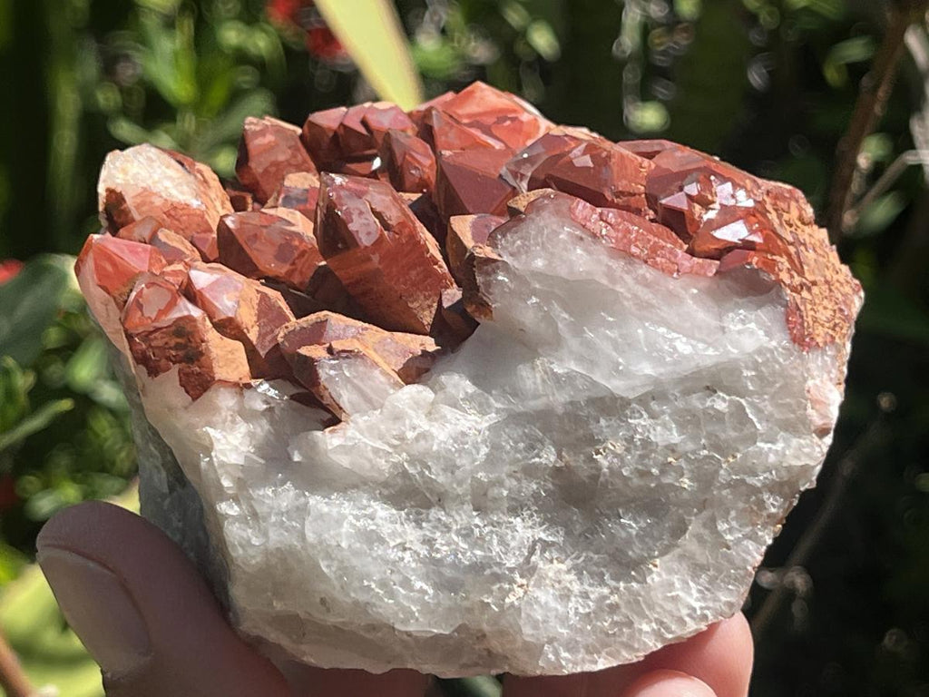 Natural Red Hematite Quartz Cluster x 1 From Orange River, South Africa