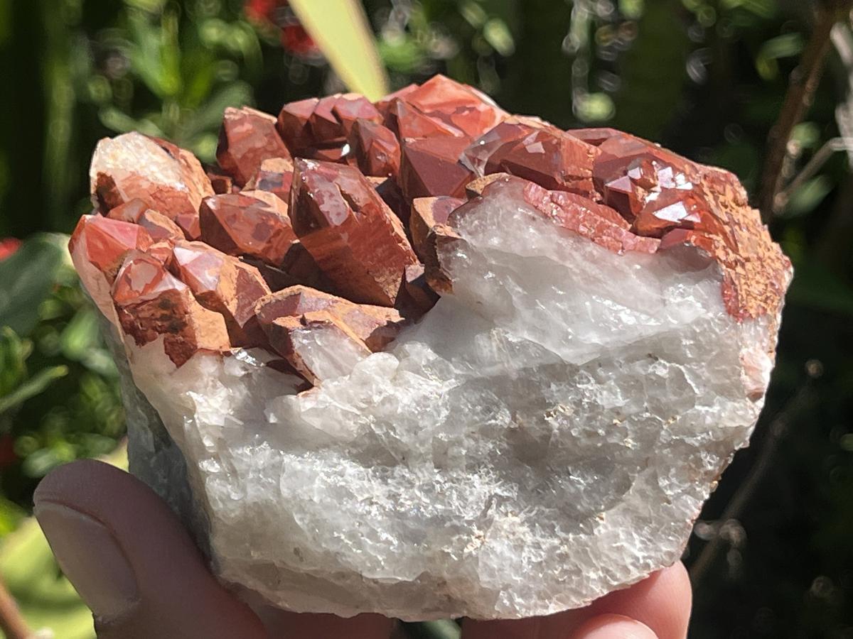 Natural Red Hematite Quartz Cluster x 1 From Orange River, South Africa