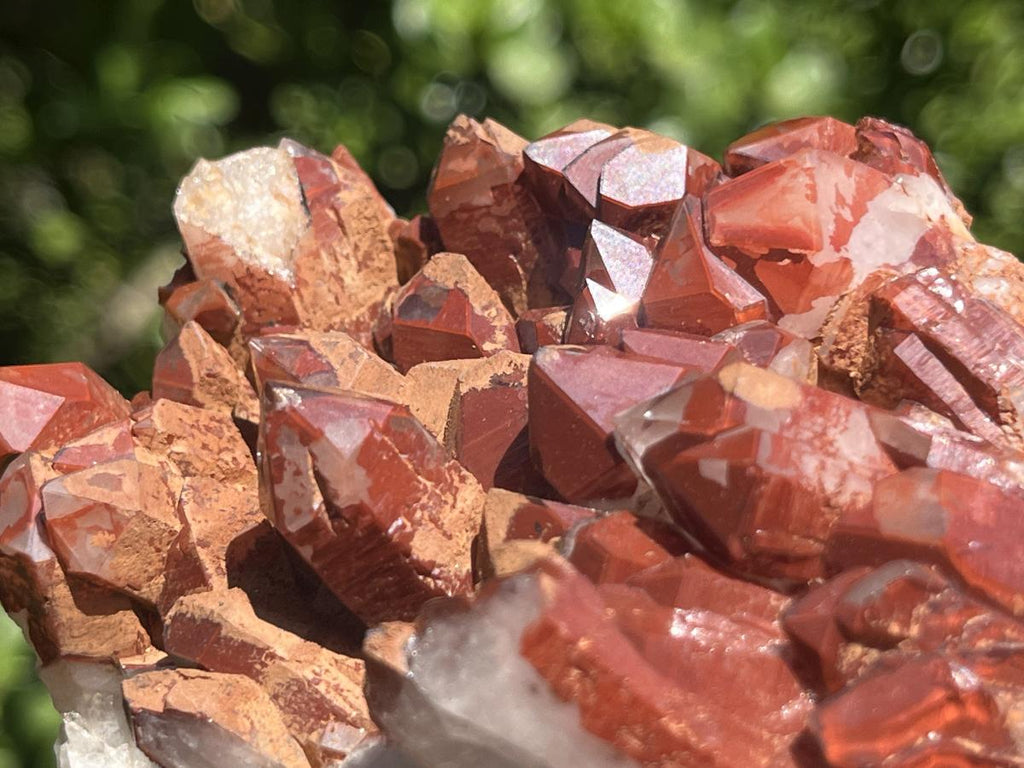 Natural Red Hematite Quartz Cluster x 1 From Orange River, South Africa