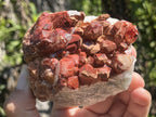 Natural Red Hematite Quartz Cluster x 1 From Orange River, South Africa