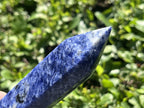 Polished Double Terminated Blue Sodalite Crystal x 1 From Kunene, Namibia