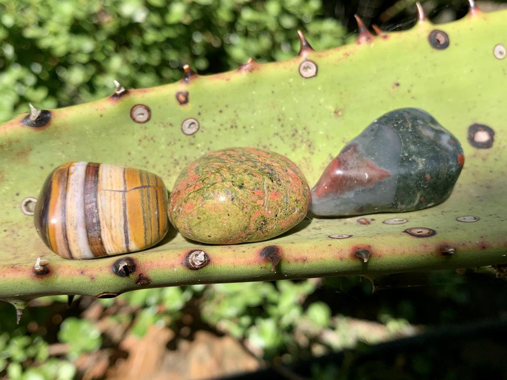 Polished and Natural Set of 14 Gemstones From Southern Africa (Sold Per Set)