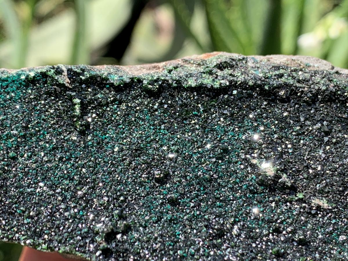 Natural Rare Libethenite Cabinet Specimen x 1 From Shituru Mine, Congo