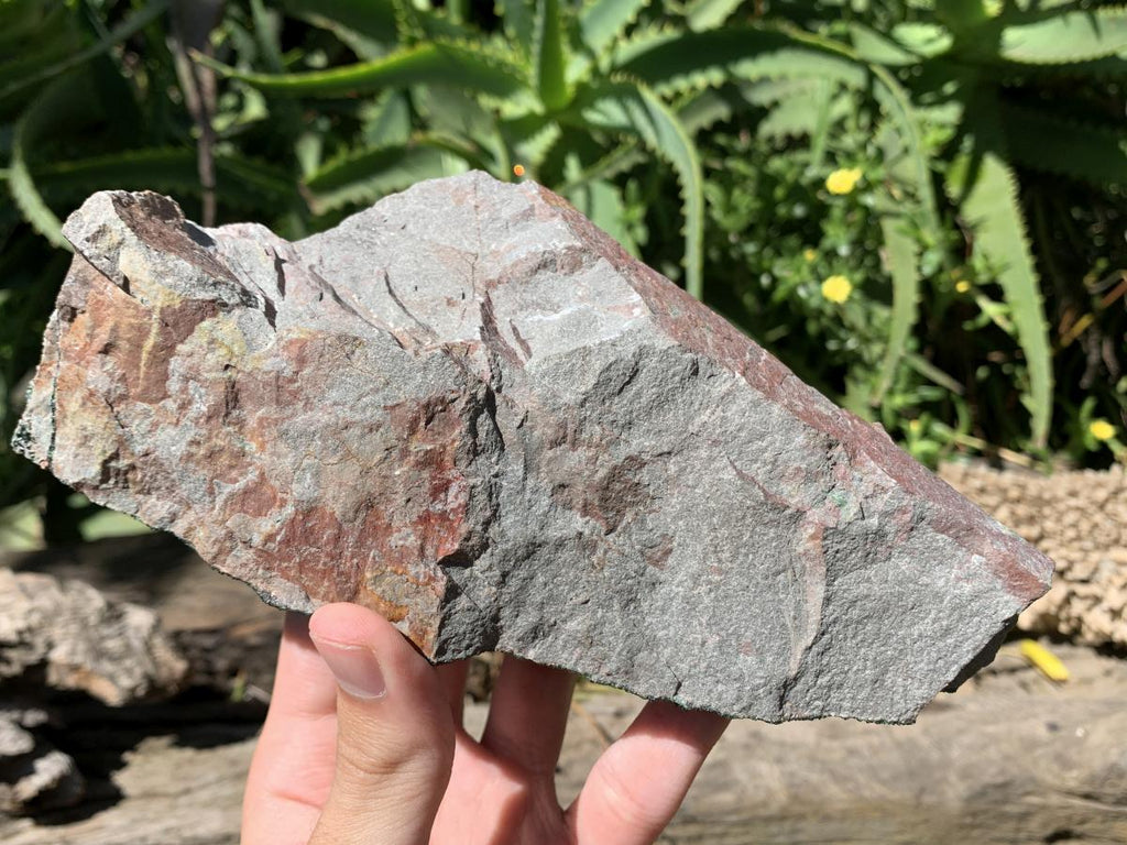 Natural Rare Libethenite Cabinet Specimen x 1 From Shituru Mine, Congo