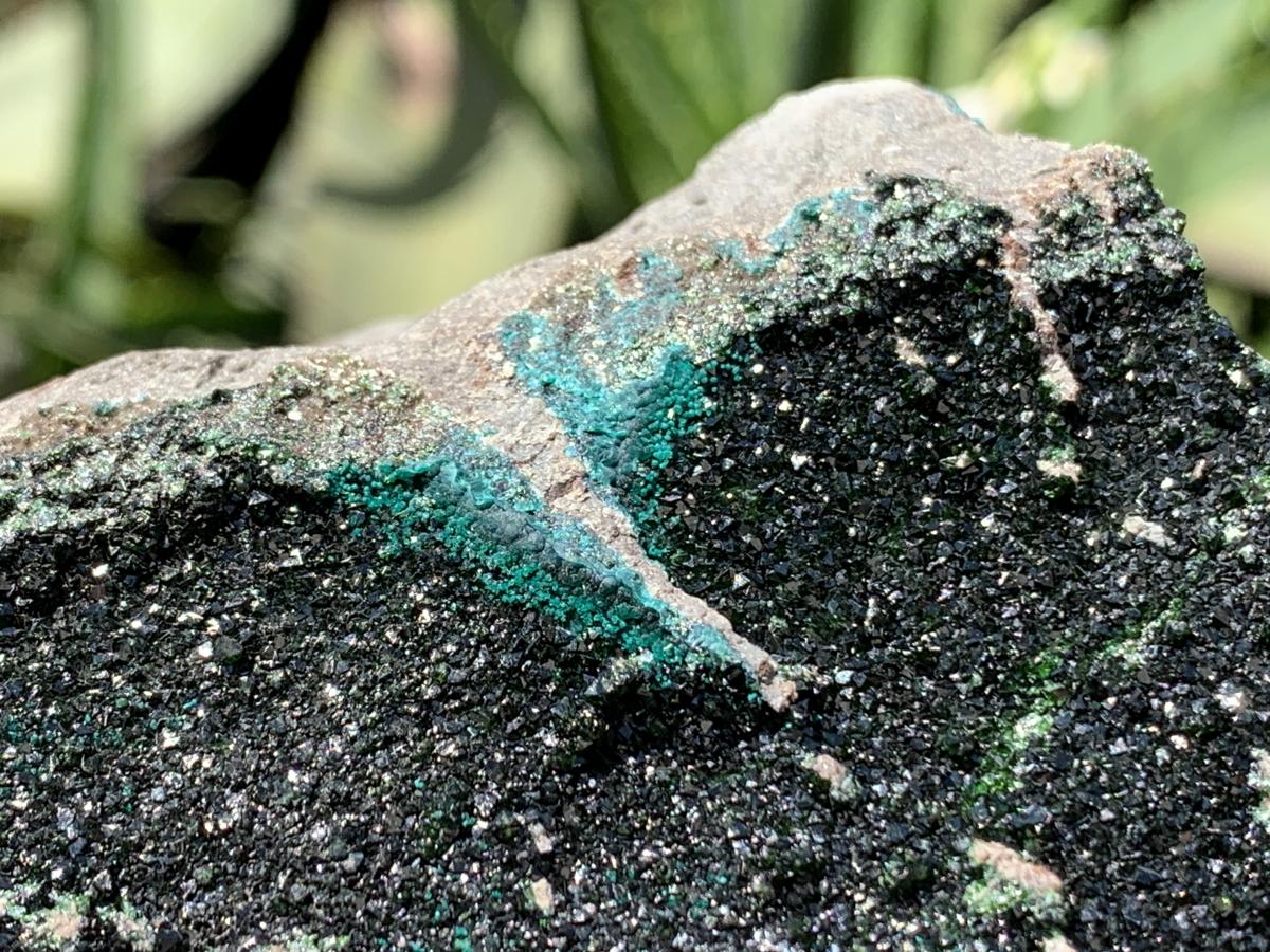 Natural Rare Libethenite Cabinet Specimen x 1 From Shituru Mine, Congo