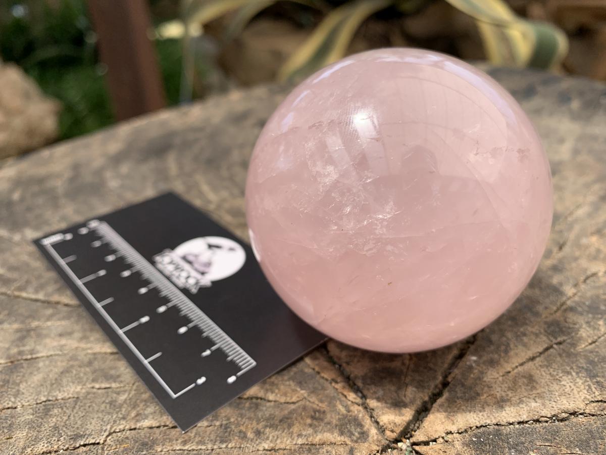 Polished Gemmy Star Rose Quartz Sphere x 1 From Ambatondrazaka, Madagascar