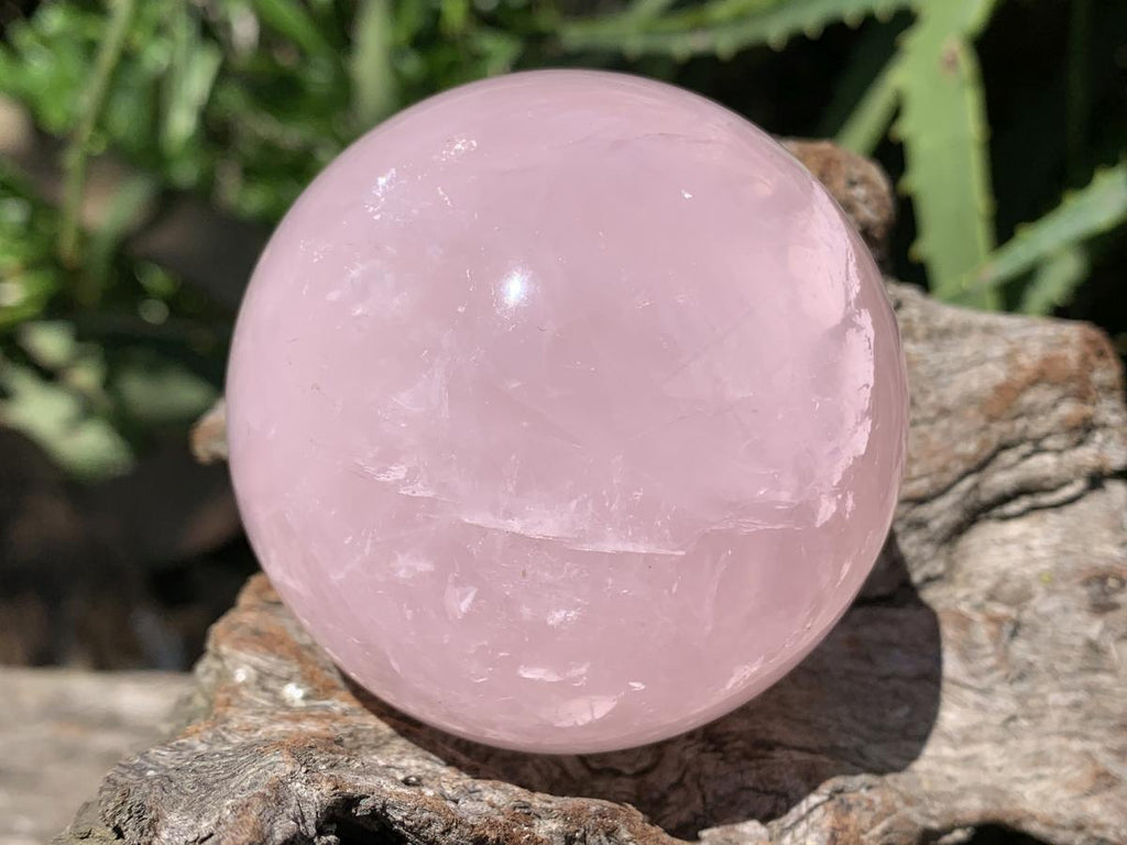 Polished Gemmy Star Rose Quartz Sphere x 1 From Ambatondrazaka, Madagascar