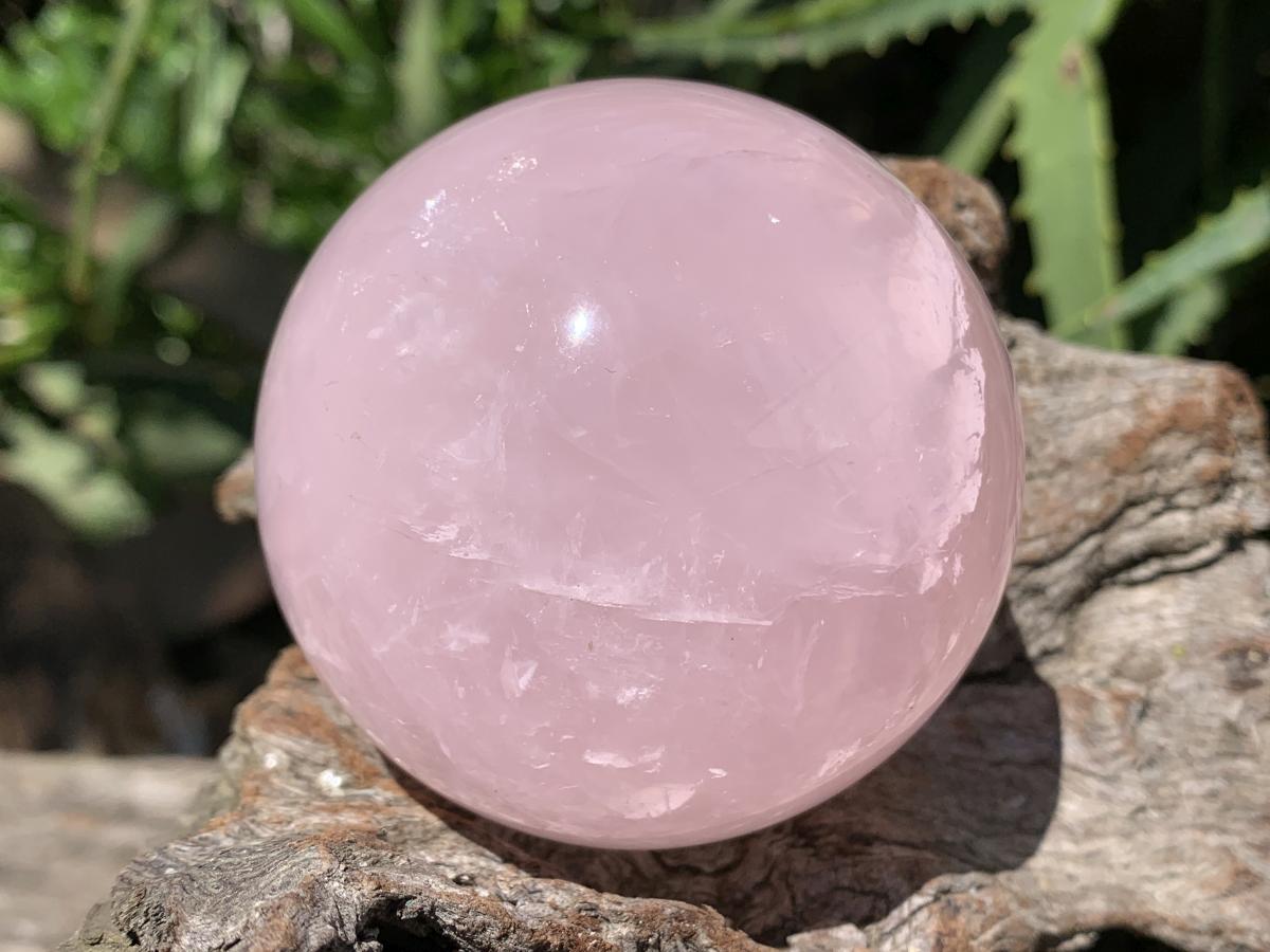 Polished Gemmy Star Rose Quartz Sphere x 1 From Ambatondrazaka, Madagascar