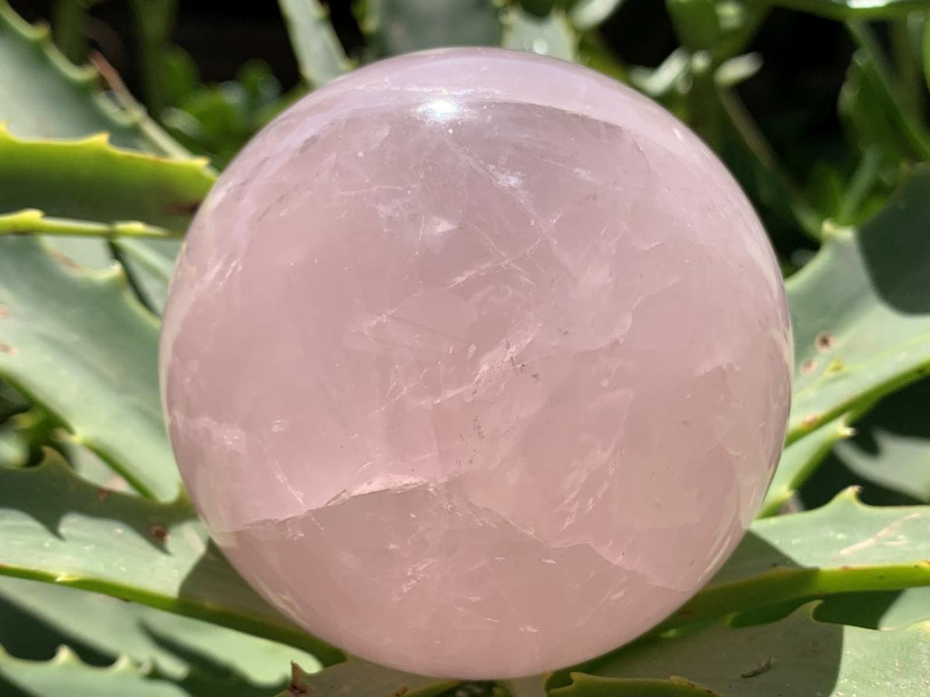 Polished Gemmy Star Rose Quartz Sphere x 1 From Ambatondrazaka, Madagascar