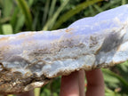 Natural Large Blue Lace Agate Crystalline Plate x 1 From Namibia